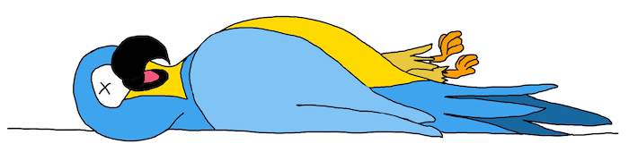 Un perroquet bleu norvégien en plein repos.